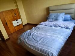 Blk 262C Compassvale Street (Sengkang), HDB Executive #524161281